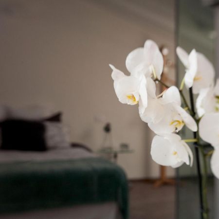 San Clemente Bed & Breakfast Crema Luaran gambar